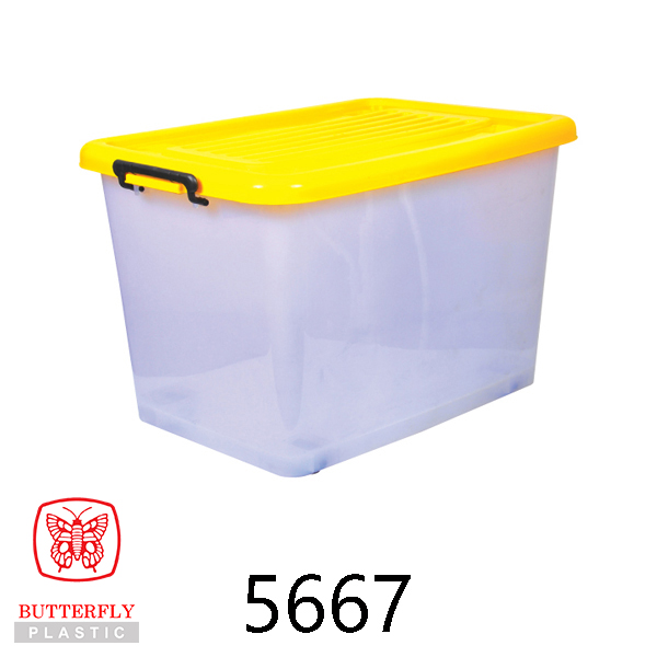 Plastic Storage Box / Transparent Box with Lid